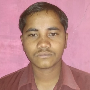Rameshwar Jadhao-Freelancer in Nagpur,India