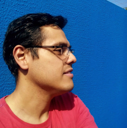 Marcelo Pisani Garib-Freelancer in Maring,Brazil