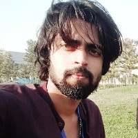 Husain Tarik-Freelancer in Lucknow,India