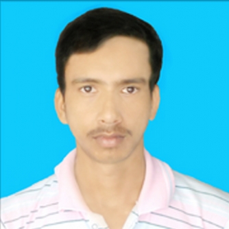 Biswajit Pramanik-Freelancer in Maldah,India