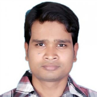 Ajit Kumar Karsh-Freelancer in Korba ,India