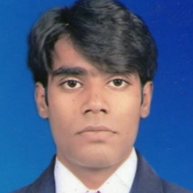 Rakesh Choudhary-Freelancer in Bhilai,India