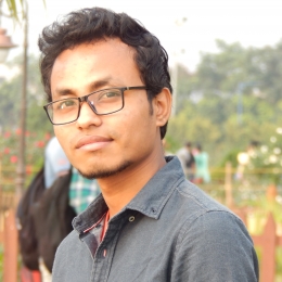PHANI ROY-Freelancer in Kolkata,India