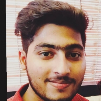 Ritesh Jha-Freelancer in Delhi,India