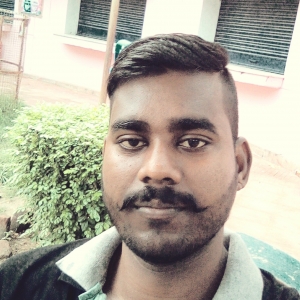 Sujit Kumar Chauhan-Freelancer in Patna,India