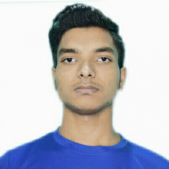 Abhishek Kumar-Freelancer in BHAGALPUR,India