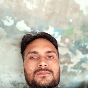 Vishal Kumar-Freelancer in Kiratpur,India