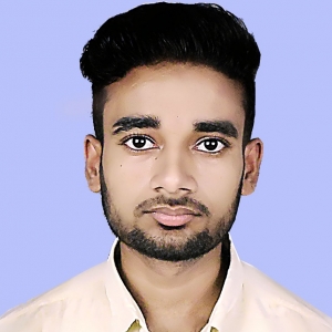 Ramjan Ali-Freelancer in ,India