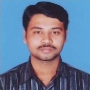 Punith Venkatesh-Freelancer in Bengaluru,India