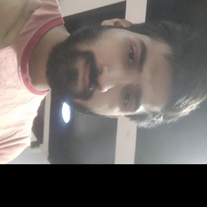 Neeraj Singh-Freelancer in ghaziabad,India