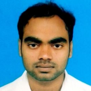 BIKASH RUIDAS-Freelancer in Haora,India