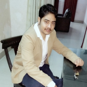 Vishnu Parsad-Freelancer in ,India