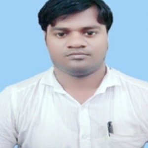 Md Nabi Hassan-Freelancer in ,India