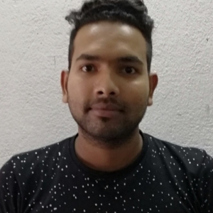 Bikram Moulik-Freelancer in West bengel ,India