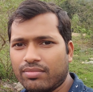 Bijay Kumar Satapathi-Freelancer in Gurgaon,India