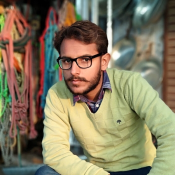 Raj Dhiman-Freelancer in PATIALA,India