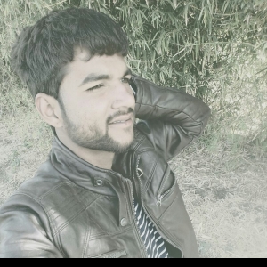 Satish Chandana-Freelancer in Tanda,India