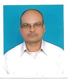 Dilip Kumar Kundu-Freelancer in Hyderabad,India