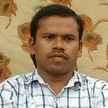P.THIRUPATHIRAO-Freelancer in Bhadrachalam,India