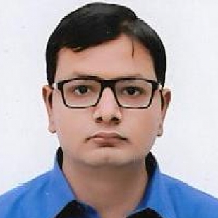 Vivek Verma-Freelancer in Chandigarh,India