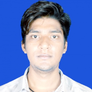 Hitesh Bhaskar-Freelancer in Aurangabad,India
