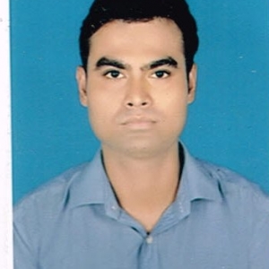 Ravi Ignasus-Freelancer in ,India