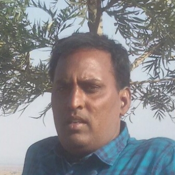 BUDHNAR SIR-Freelancer in ,India