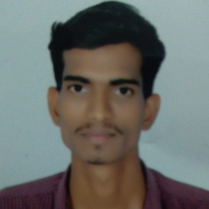 Avinash Waddankeri-Freelancer in Bengaluru,India
