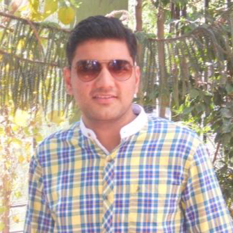 Anshul Pareek-Freelancer in Jaipur,India