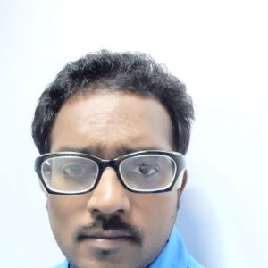 Praveen Kumar Botcha-Freelancer in BOBBILI, VIZAINAGARAM DISTRICT,India