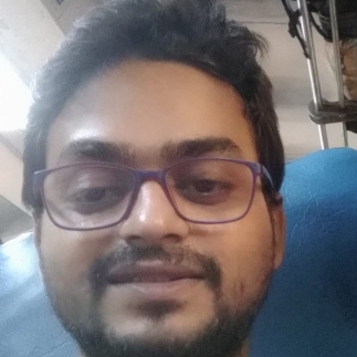 Mani Shanker Ravi-Freelancer in Patna,India