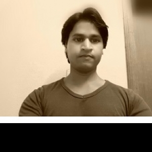Dharmendra Kumar-Freelancer in Lucknow,India