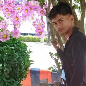 Jsr Sonu Pal-Freelancer in Lucknow,India