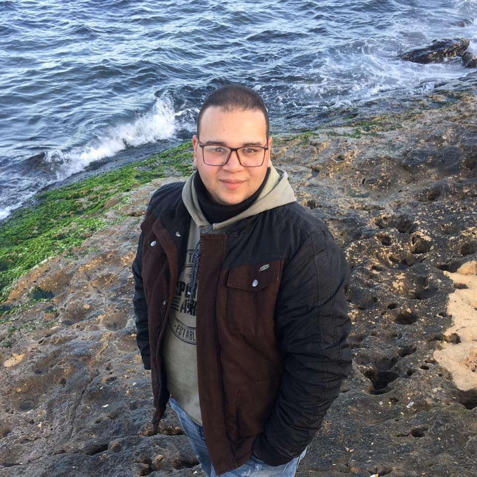 Mohamed Hesham-Freelancer in Al Mahalah Al Kubra (Part 2),Egypt