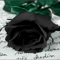 Simran Chawla-Freelancer in Raipur Division,India