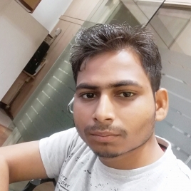 Sunil Thakur-Freelancer in Noida,India