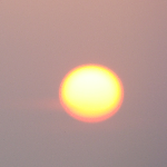 Paresh Patel-Freelancer in Ahmedabad,India