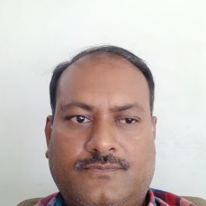 Lokesh Kumar Chandel-Freelancer in Jaipur,India