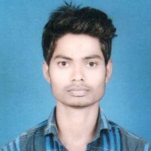 Rahul Kumar-Freelancer in Muzaffarpur,India