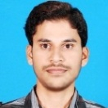 Rajesh Puri-Freelancer in ,India