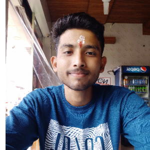 Vishal Arya-Freelancer in Sonipat,India