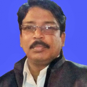 Sudesh Kumar Sinha-Freelancer in Sonipat,India