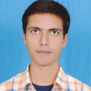 Ankit Jha-Freelancer in Muzaffarpur,India