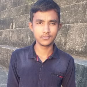 Leman Kumar-Freelancer in Gurur ,India