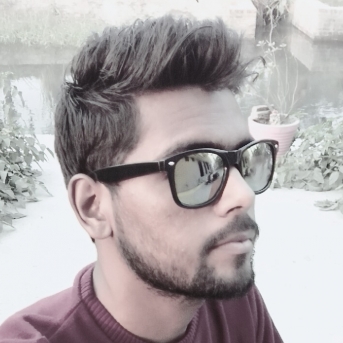 Ajay Tomer-Freelancer in Ghaziabad,India