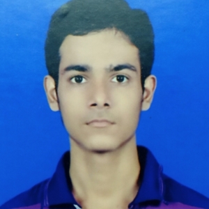 Akash Kumar-Freelancer in Patna,India