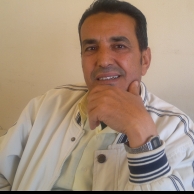 Adlan Attaalla-Freelancer in Mansoura,Egypt