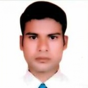 Shahnawaz Hussain-Freelancer in Noida,India