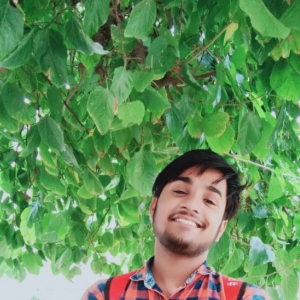 Nishant Chauhan-Freelancer in Delhi,India