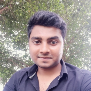 Dharmveer Kumar-Freelancer in Patna,India